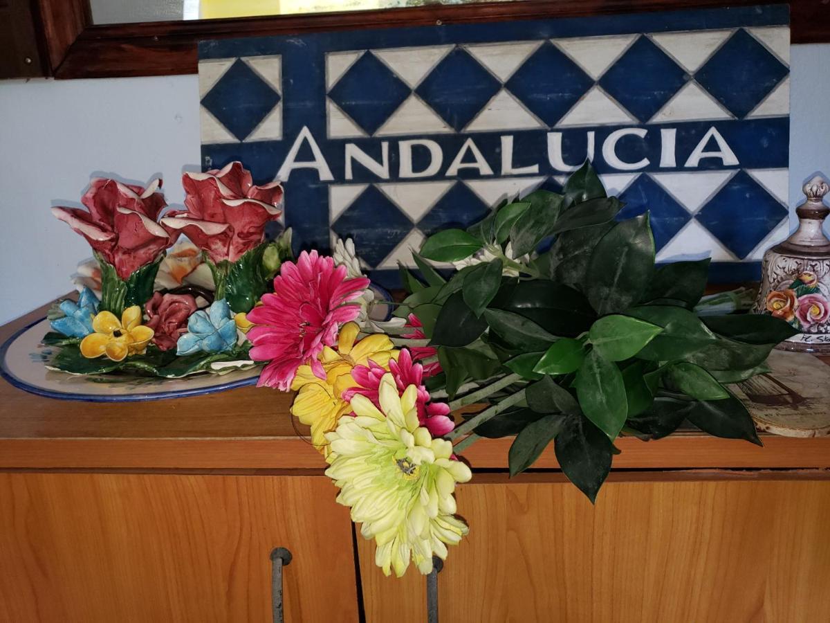 Andalucia Guest House サンジョアン エクステリア 写真